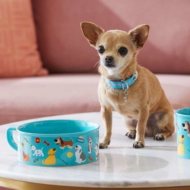 gamelle-chien-collier-collection-disney