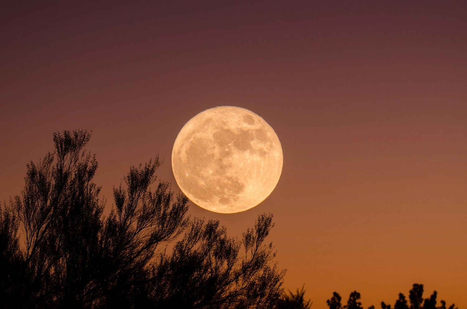 Ils ne s&rsquo;y attendaient pas du tout : avec la Nouvelle Lune, ces signes vont vivre un tournant radical autour du 18 mars
