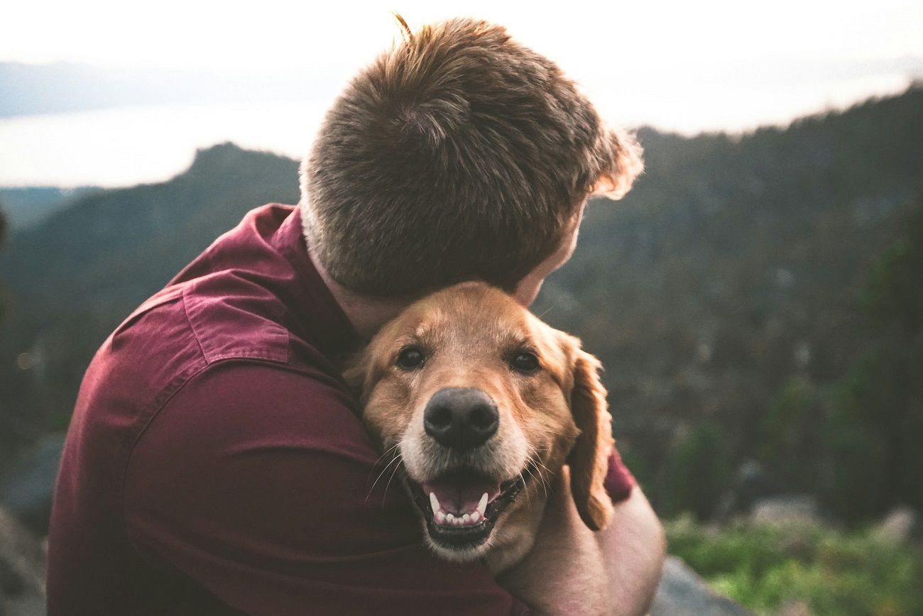 Avec son flair imparable, le chien peut d&eacute;tecter les &eacute;motions.