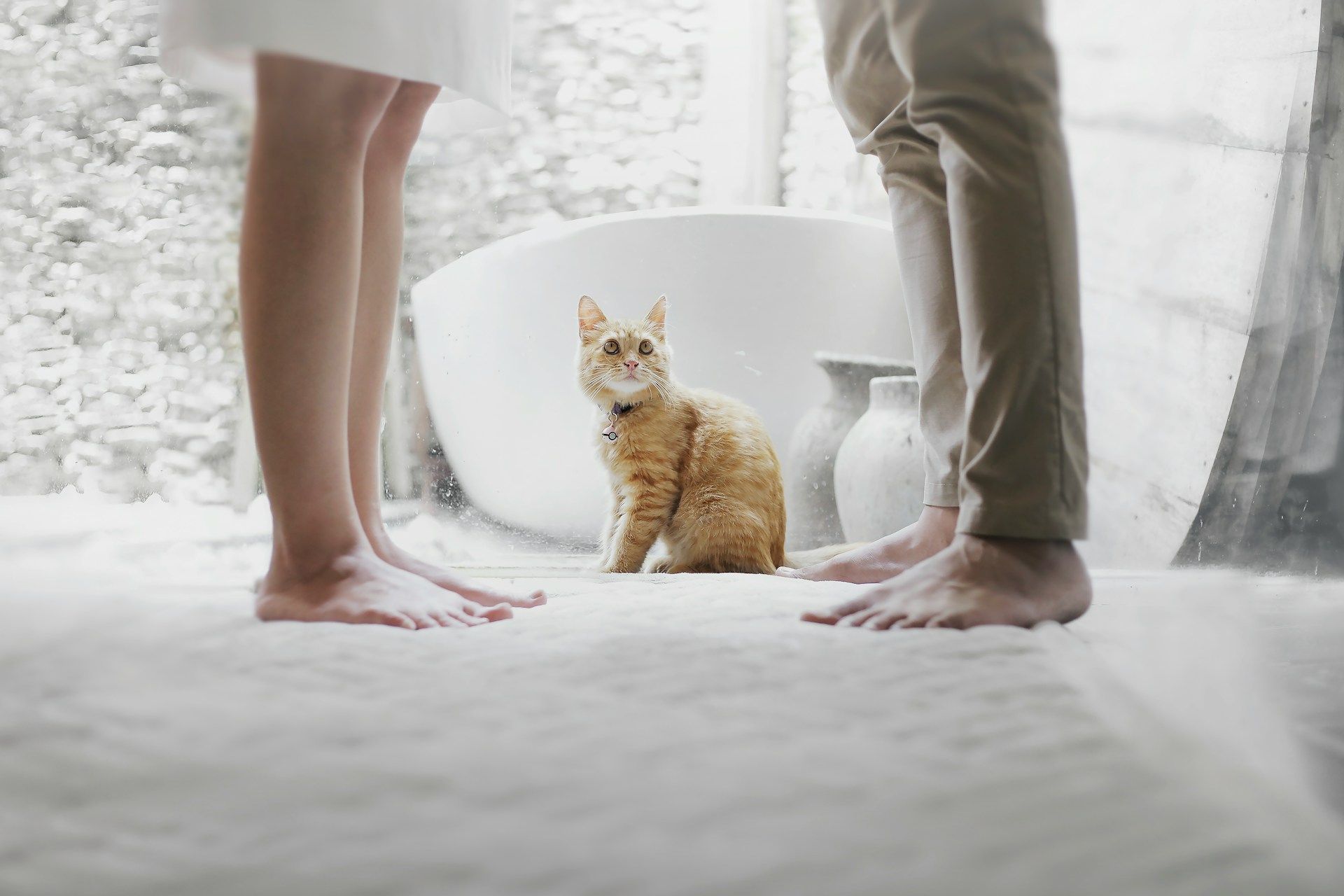 Est-on pr&eacute;dispos&eacute; au divorce ? Ce qu'il faut savoir