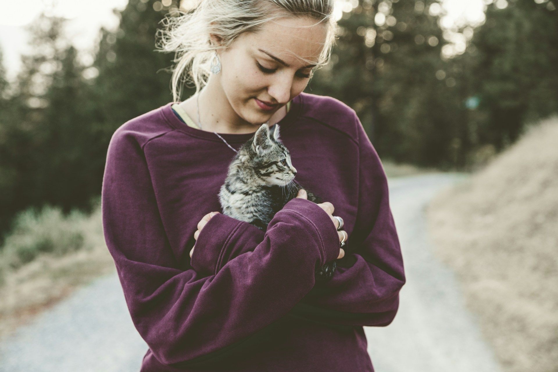 Pourquoi mon chat se colle contre moi la nuit ?