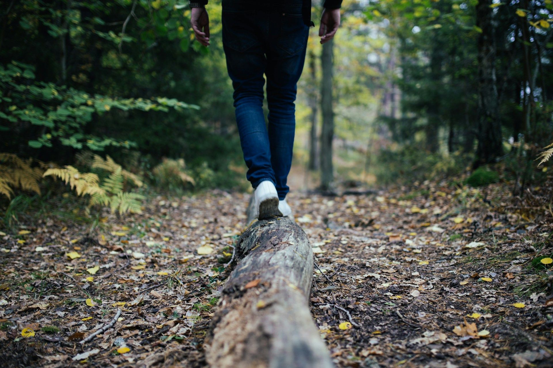 Passer du temps en pleine nature : les bienfaits pour l'organisme