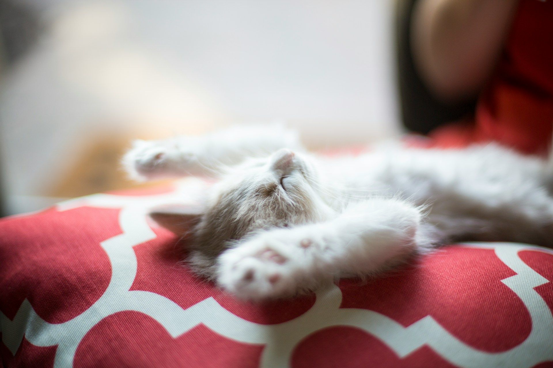 Comment avoir un sommeil r&eacute;parateur ?