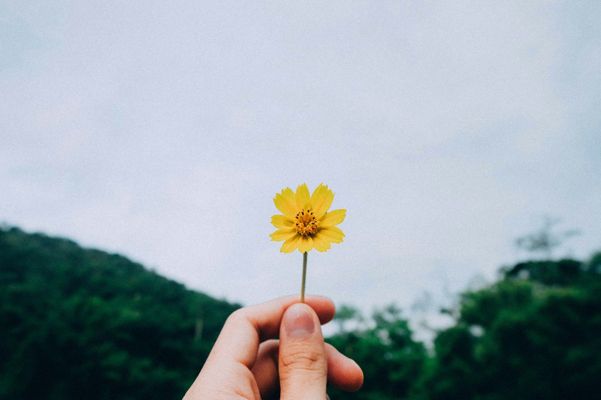 La question à se poser pour être heureux