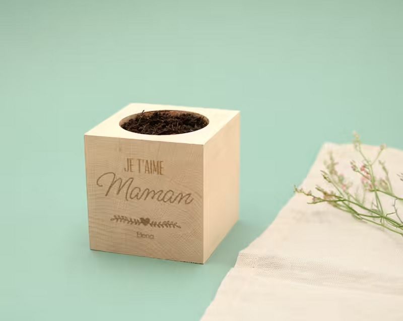 kit-pret-a-pousser-plante-personnalise