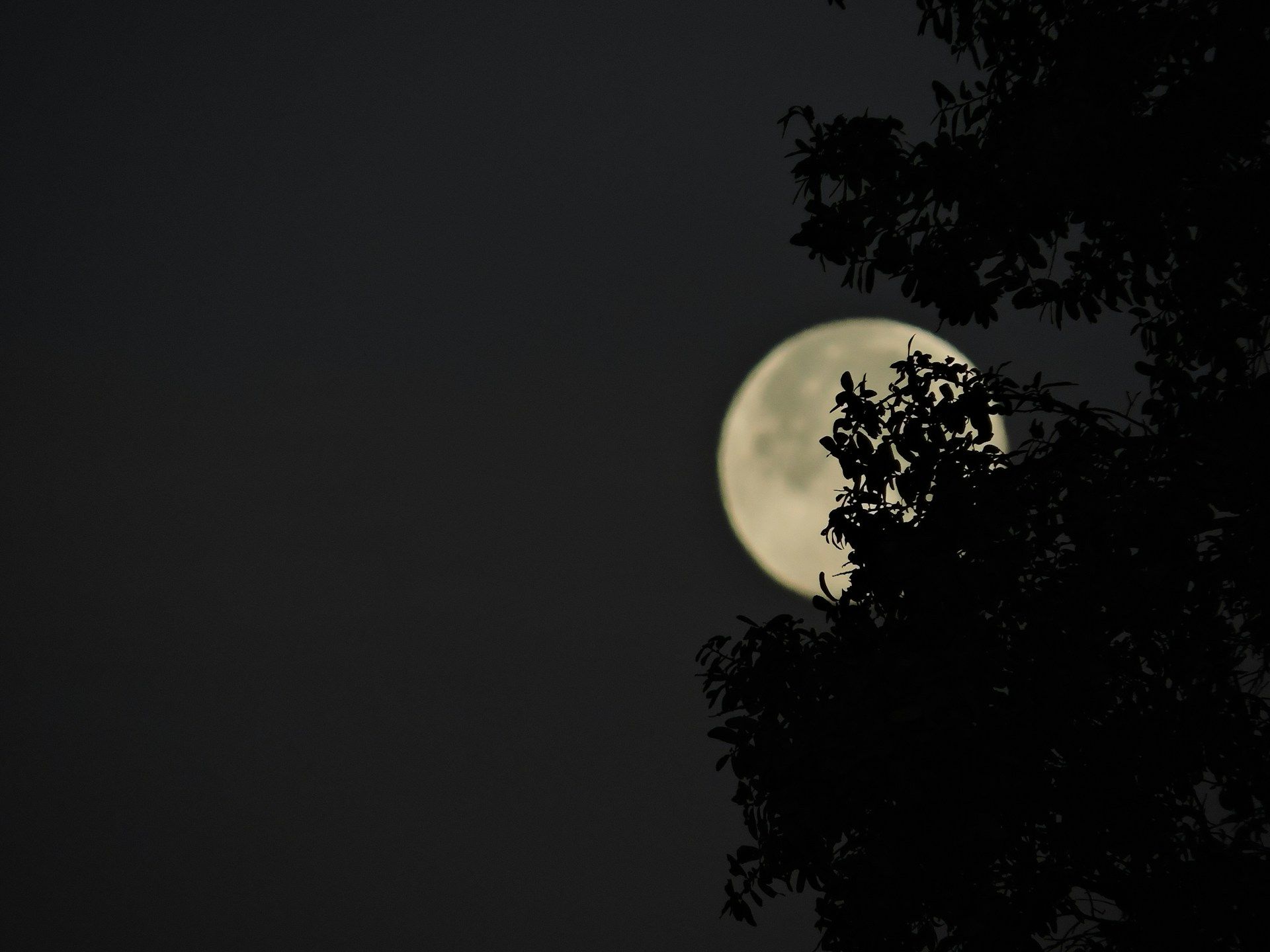 Pourquoi la Super Lune 2025 est bien plus rare qu’on ne le pense