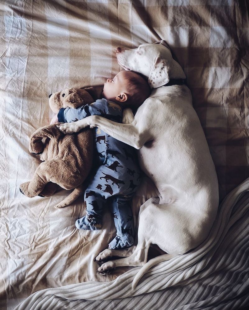 Ce bébé de 8 mois et cette chienne adorent faire la sieste ensemble... et ils sont trop mignons ! | So Busy Girls