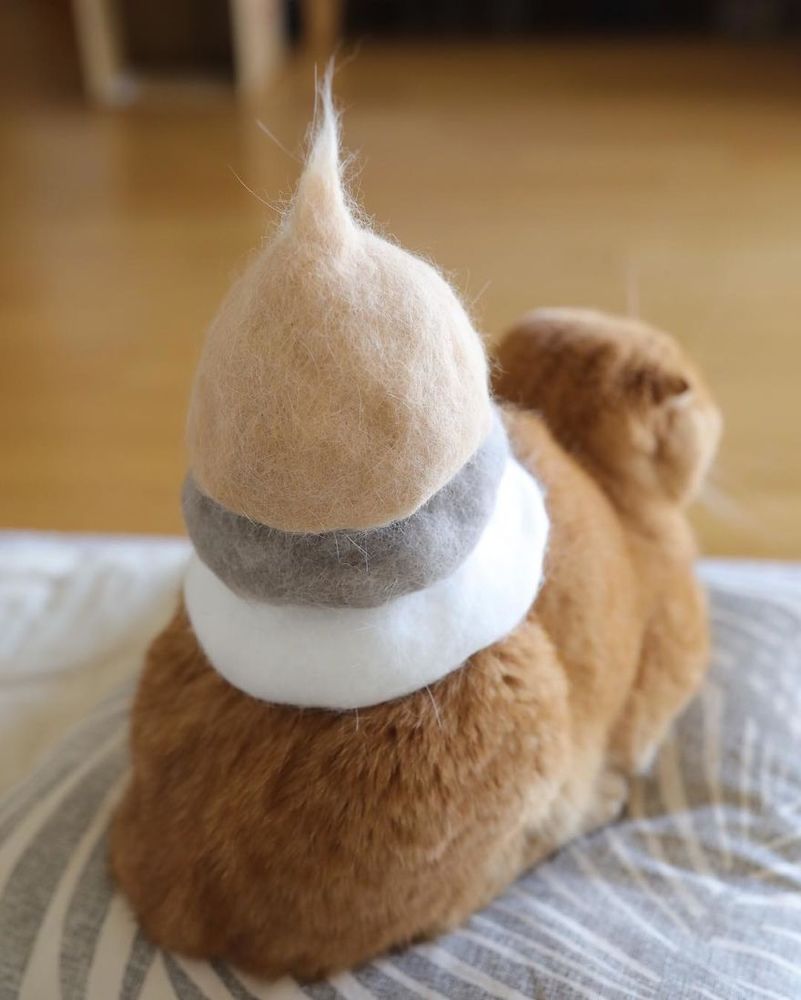 13 chats avec des chapeaux sur la tête faits de leurs propres poils | So Busy Girls
