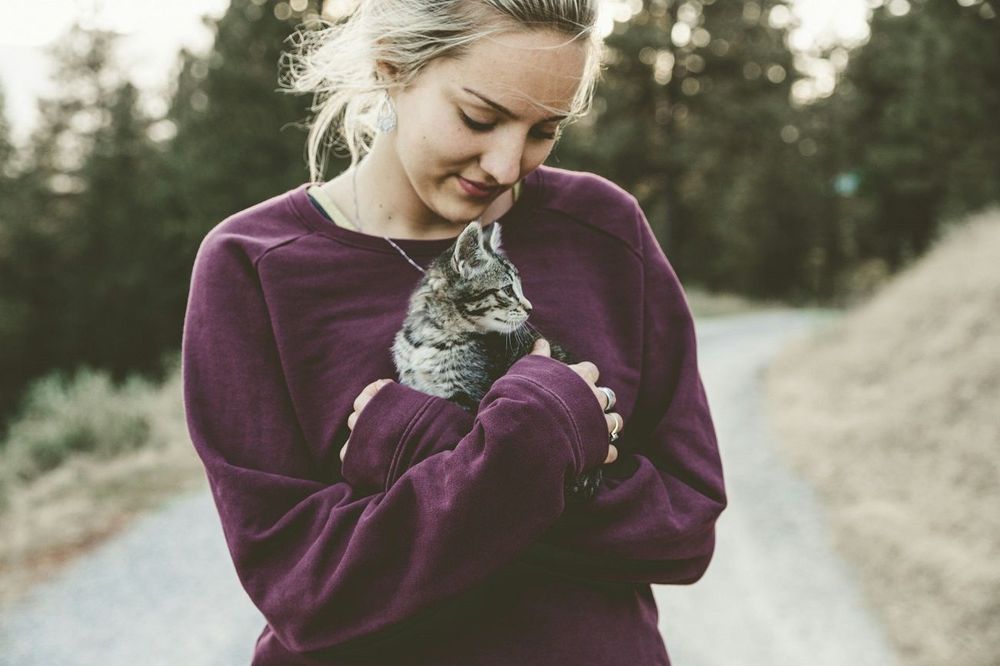 Ceux qui discutent avec leur chat seraient plus intelligents et plus sensibles que les autres | So Busy Girls