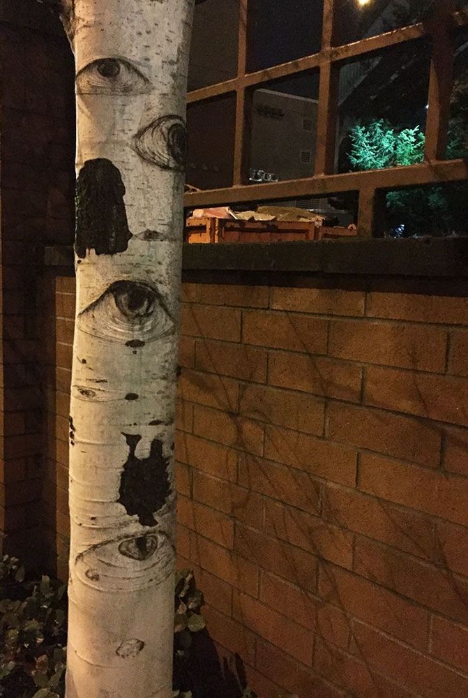 Un arbre avec des yeux | So Busy Girls