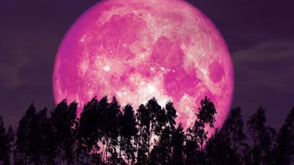 « Je pensais avoir tourné la page » : cette pleine lune du 2 avril 2026 pourrait réveiller une blessure que vous croyiez oubliée | So Busy Girls