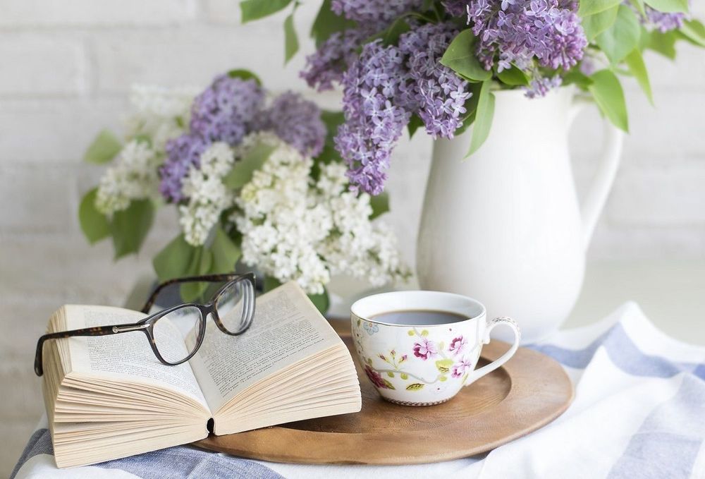 Booxup, le Vinted des livres pour vous faire des sous tout en débarrassant votre bibliothèque | So Busy Girls