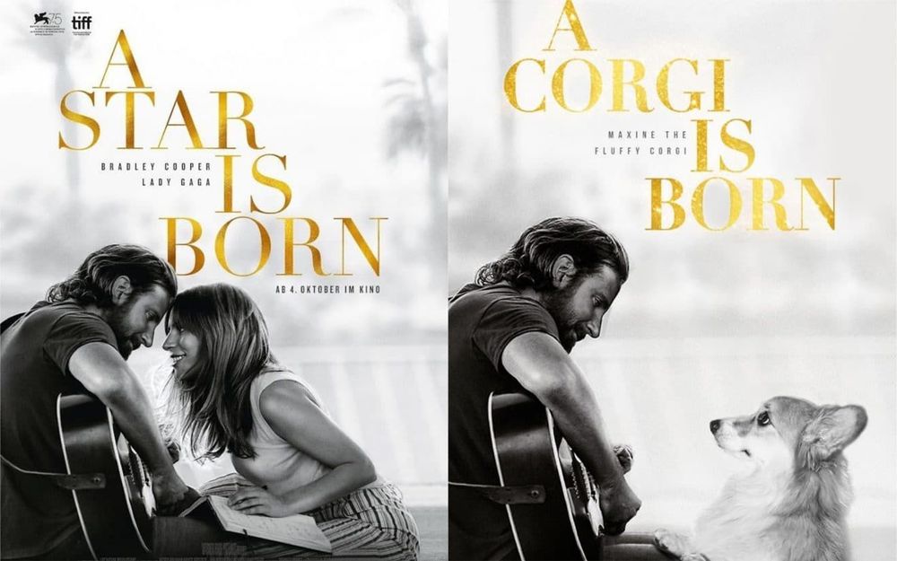 Il détourne les affiches de films cultes qui ont marqué 2018 en y incrustant... son chien ! | So Busy Girls
