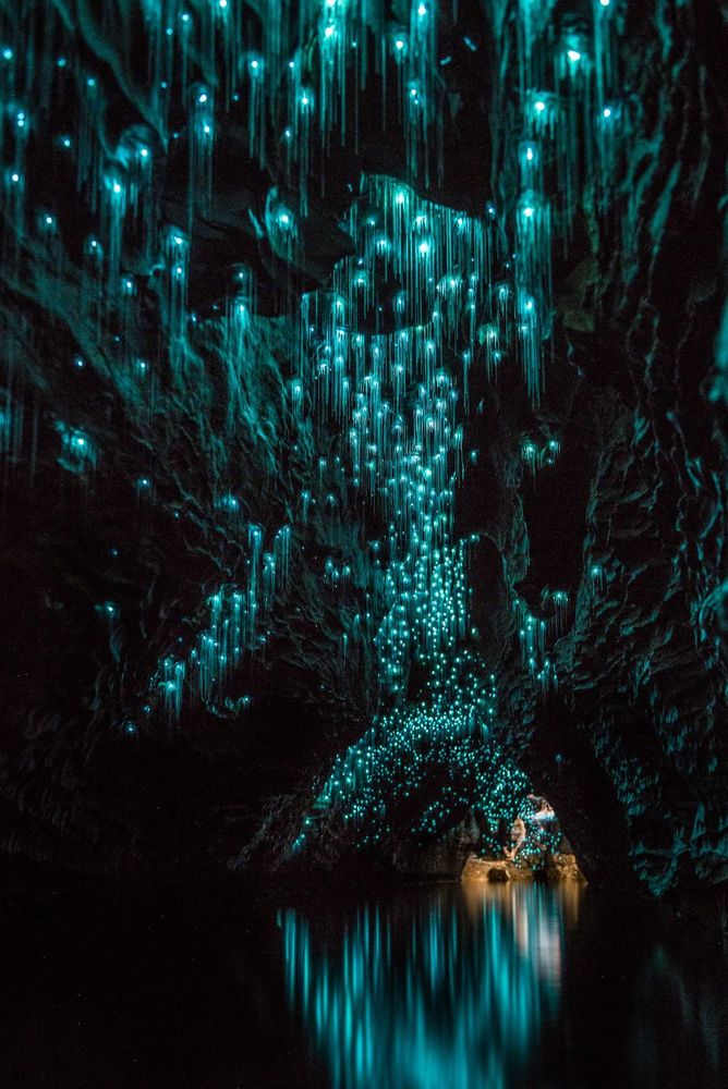 Des centaines de vers luisants transforment cette grotte néo-zélandaise en magnifique nuit étoilée | So Busy Girls