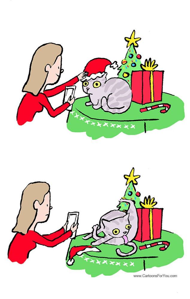 13 bandes dessinées amusantes sur les animaux | So Busy Girls