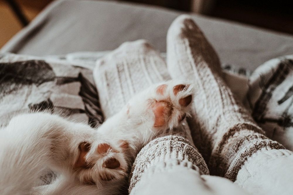 6 bonnes raisons de dormir avec ses chaussettes | So Busy Girls
