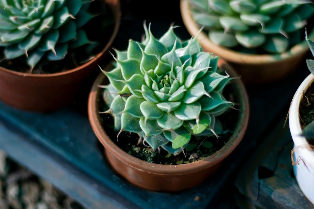 Horoscope du samedi 25 avril 2026 : ces erreurs que chaque signe risque de regretter dès ce soir | So Busy Girls