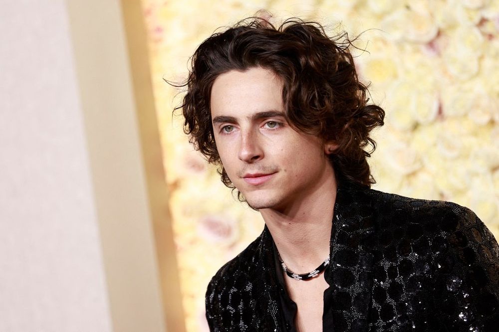 Timothée Chalamet métamorphosé : sa nouvelle coupe fait le buzz | So Busy Girls