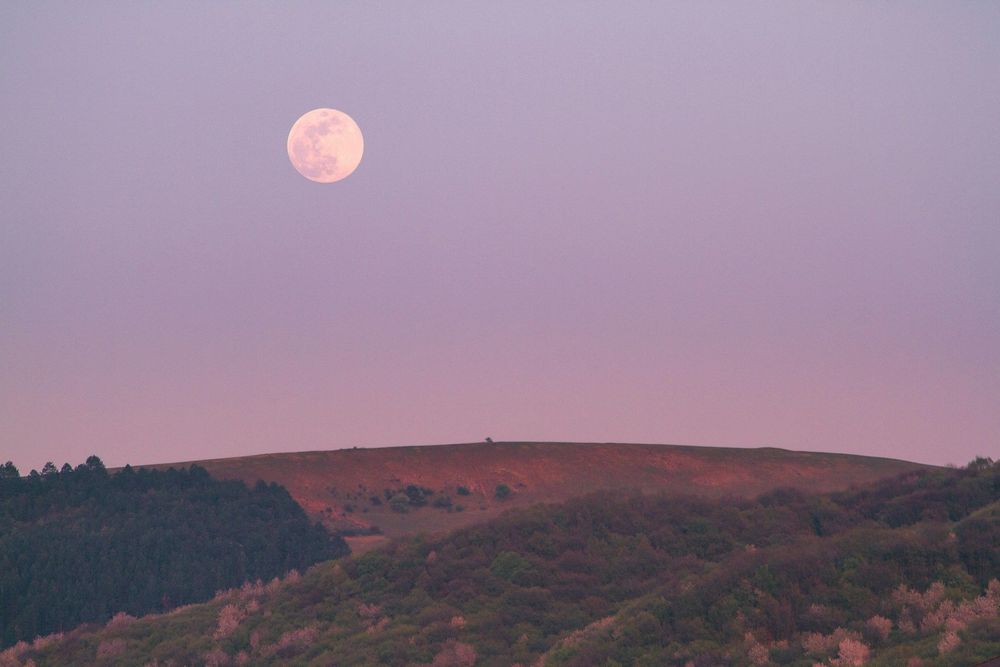 Ce jeudi à l’aube, un spectacle rare va apparaître dans le ciel : pourquoi la lune rose 2026 va vous surprendre | So Busy Girls