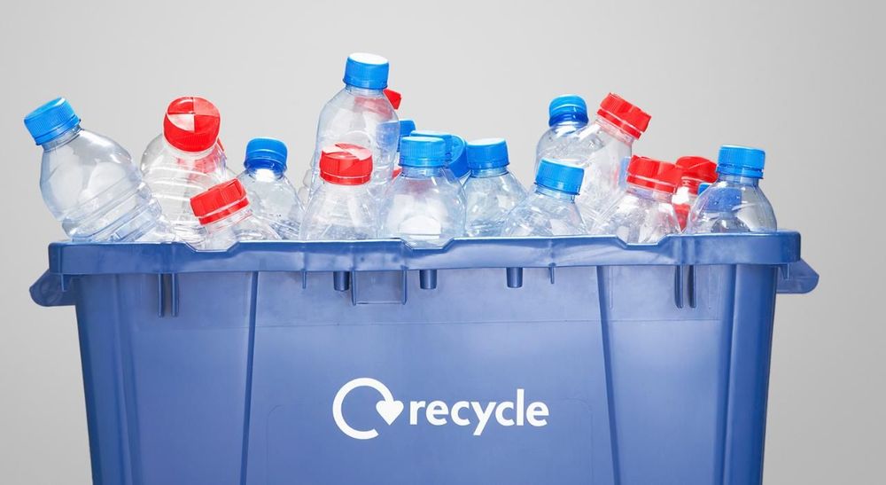 Grâce à cette plateforme, vous gagnez des cadeaux à chaque fois que vous recyclez du plastique | So Busy Girls