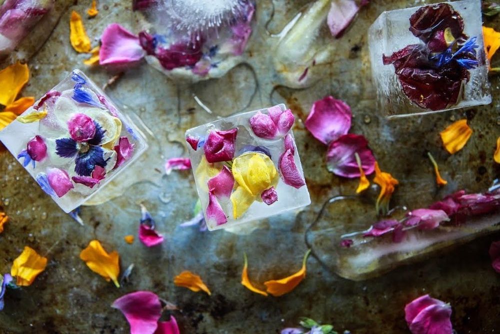 10 idées de glaçons originaux pour rafraîchir vos boissons | So Busy Girls