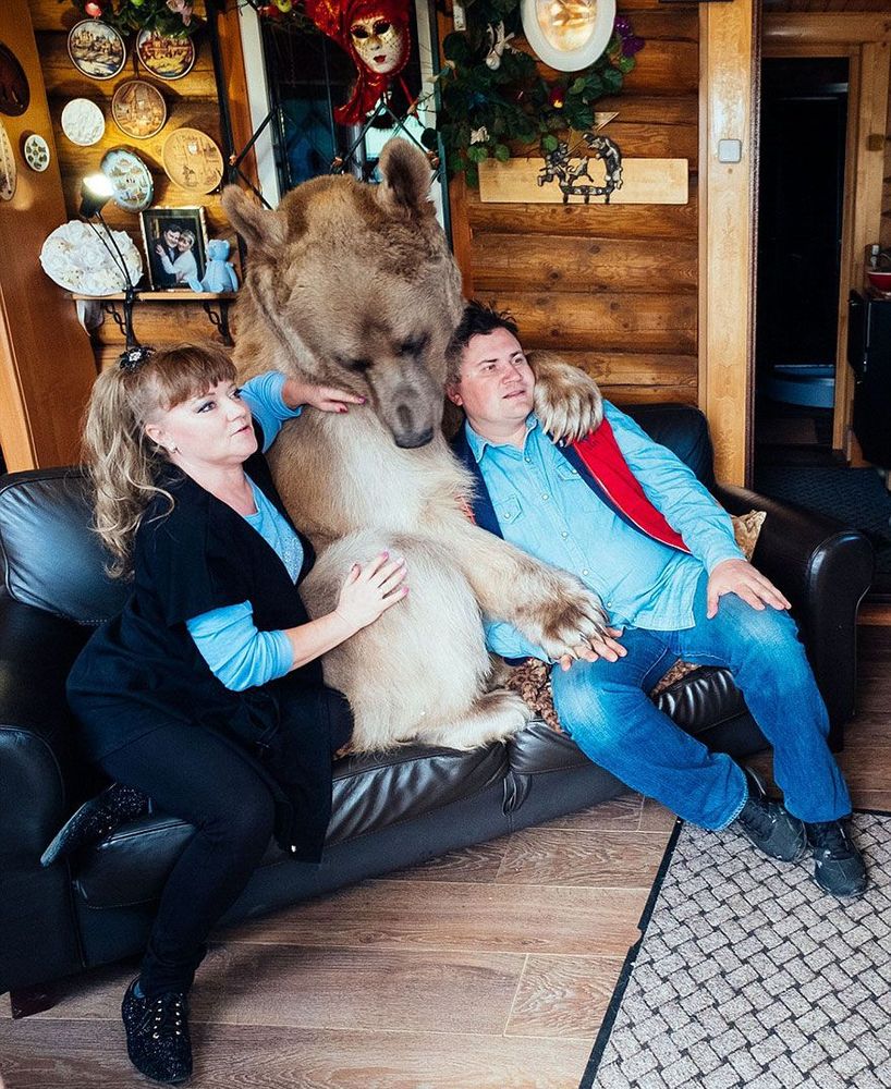 Un couple russe a adopté un ours orphelin il y a 23 ans, et ils vivent toujours tous ensemble ! | So Busy Girls