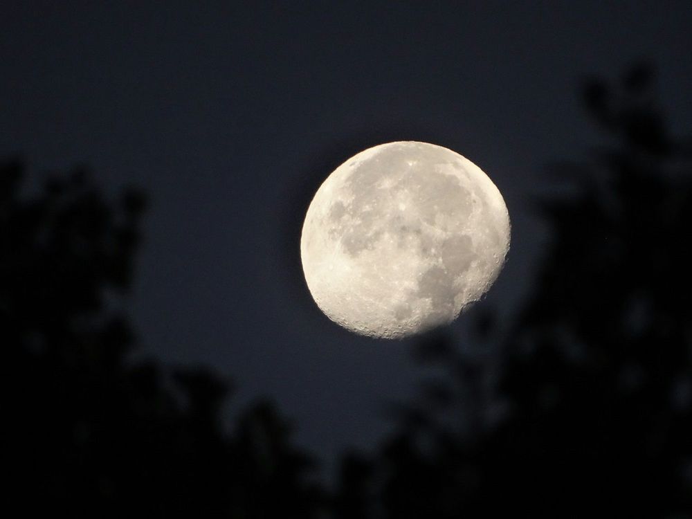 Renouveau total : ces 3 signes vont changer de vie avec la Nouvelle Lune du 20 novembre | So Busy Girls