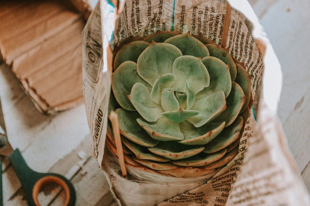 Rolled Packaging: A Versatile and Sustainable Solution for Modern Industries | So Busy Girls