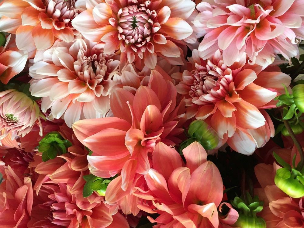Horoscope du dimanche 26 octobre 2025 : voici ce que les astres vous réservent aujourd’hui | So Busy Girls