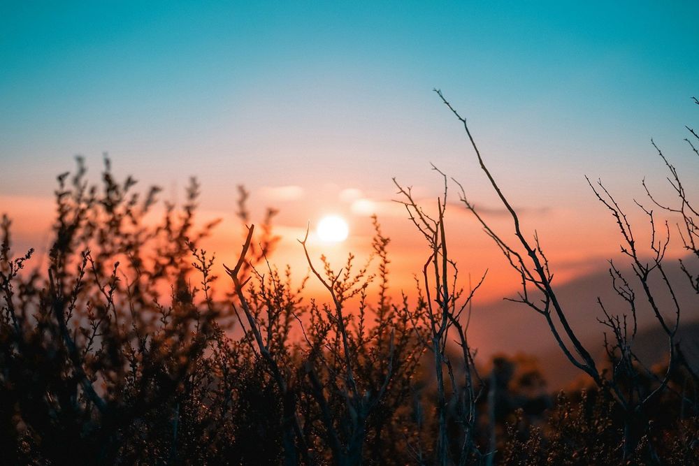 Astrologie : voici à quoi vous attendre selon votre signe astro pendant la semaine du 24 au 30 juin 2024 | So Busy Girls