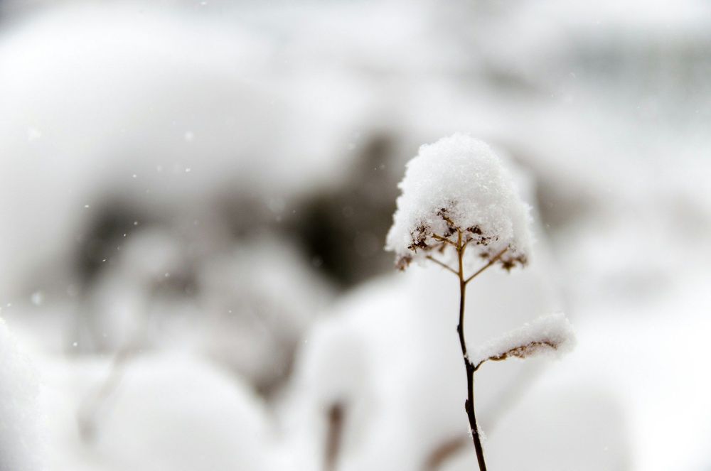 Cet épisode neigeux avant Noël pourrait compliquer de nombreux déplacements | So Busy Girls