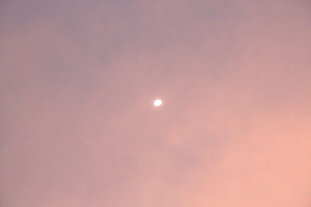 Tout le monde s’attend à une lune rose : pourquoi la réalité est complètement différente | So Busy Girls