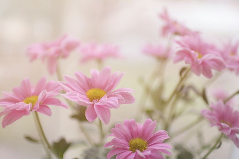Horoscope du vendredi 6 juin 2025 : ce que les astres vous réservent aujourd’hui | So Busy Girls