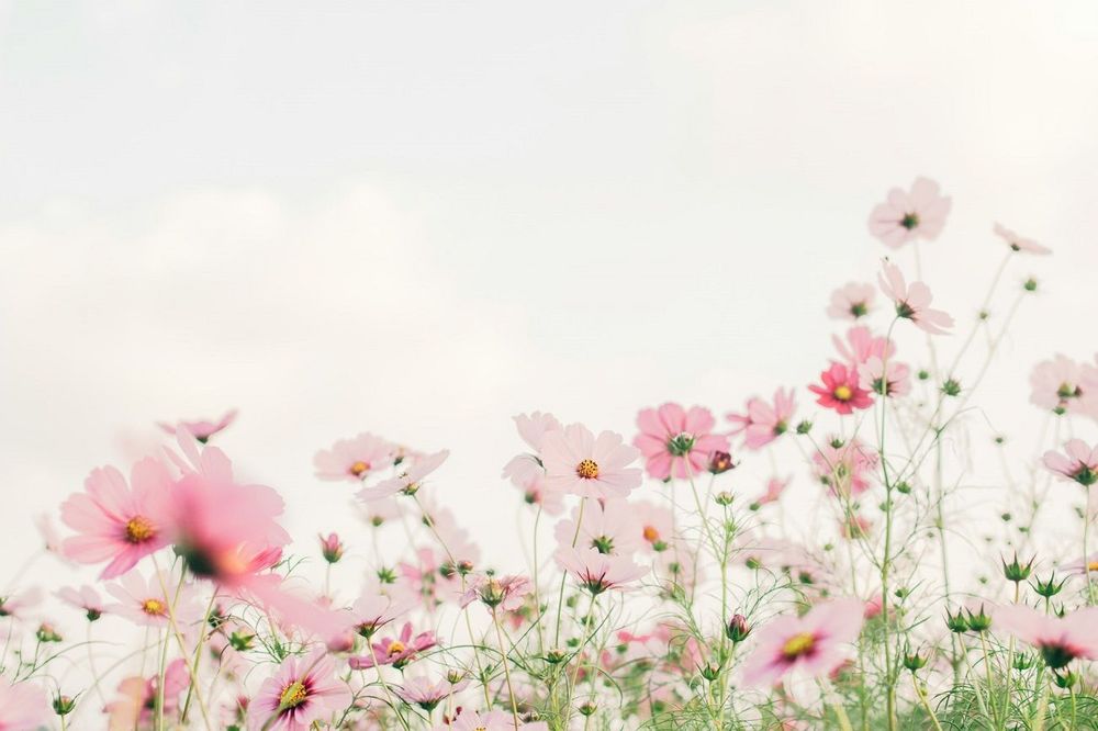 Horoscope du jour du 7 avril 2025 : les prévisions astro complètes signe par signe | So Busy Girls
