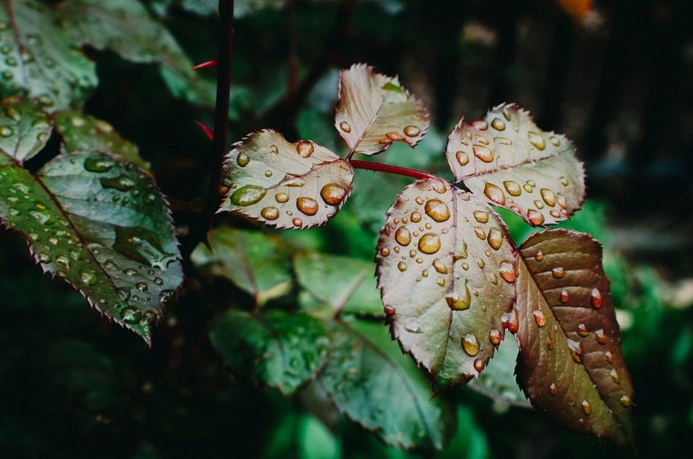 Qu’est-ce qu’une « goutte froide », le phénomène météo qui déstabilise la France cette semaine ? | So Busy Girls