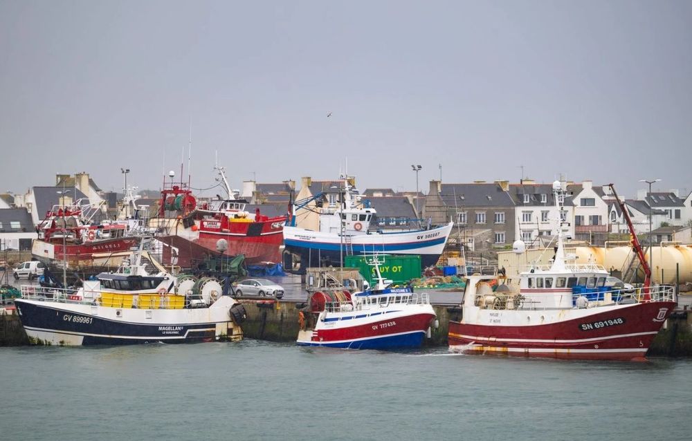 « On travaille à perte » : les pêcheurs français frappés de plein fouet par la hausse du gazole | So Busy Girls
