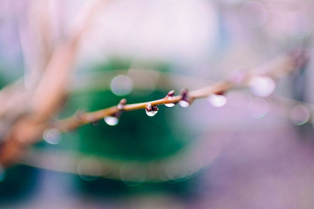 10 choses que vous devriez faire pour passer un bon mois de février | So Busy Girls
