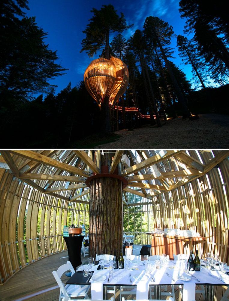 Dînez dans un arbre au Redwoods Treehouse, Warkworth en Nouvelle-Zélande | So Busy Girls