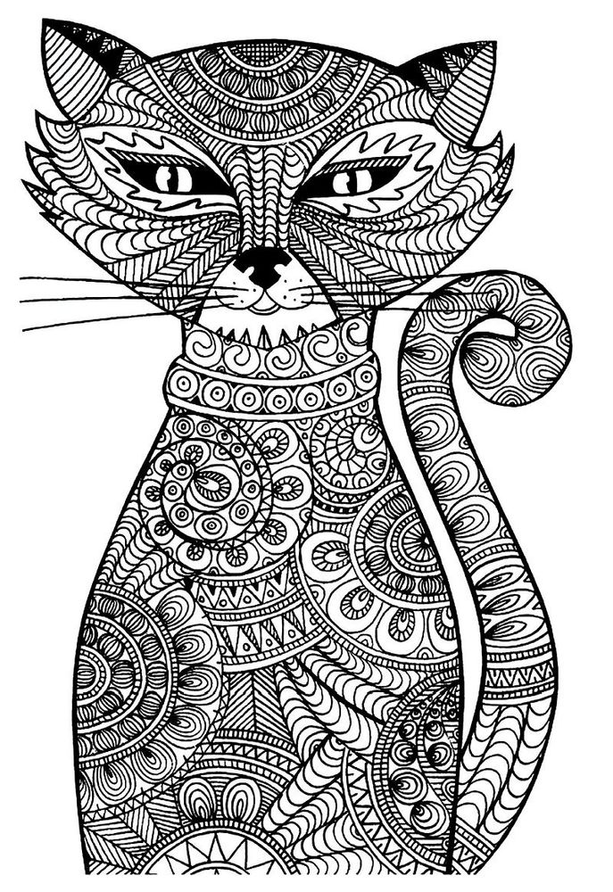Un chat | So Busy Girls