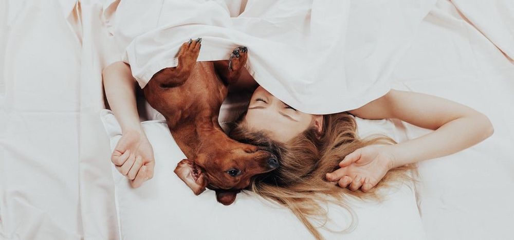 C'est prouvé : on dort beaucoup mieux avec son chat ou son chien | So Busy Girls