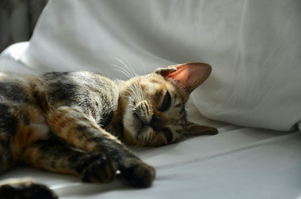 6 habitudes qui vous freinent sur la voie du succès (et comment les éviter) | So Busy Girls