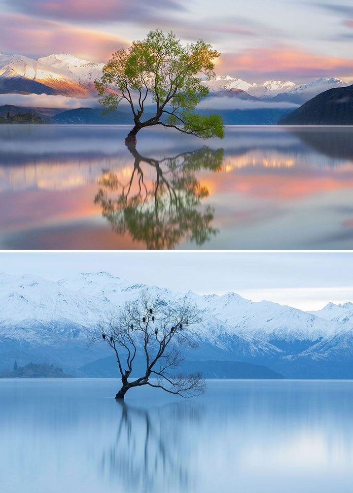 Le lac Wanaka en Nouvelle-Zélande | So Busy Girls