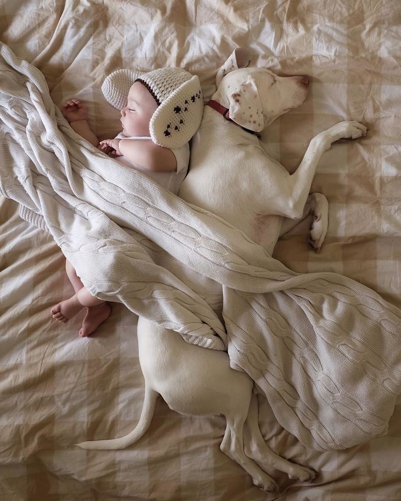 Ce bébé de 8 mois et cette chienne adorent faire la sieste ensemble... et ils sont trop mignons ! | So Busy Girls
