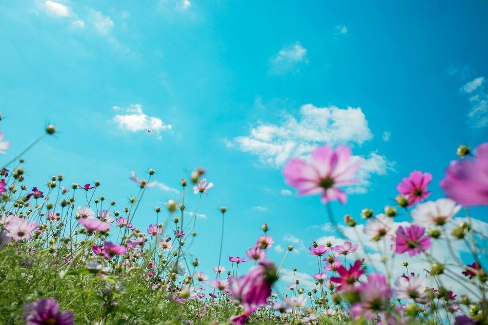 Horoscope du 19 mai 2025 : une journée charnière placée sous le signe de la lucidité | So Busy Girls
