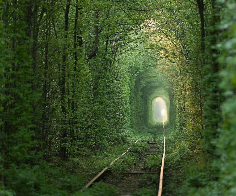 Le tunnel de l'amour en Ukraine : LA destination romantique | So Busy Girls