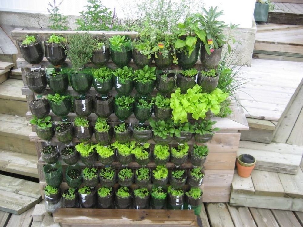 Créer un jardin vertical | So Busy Girls