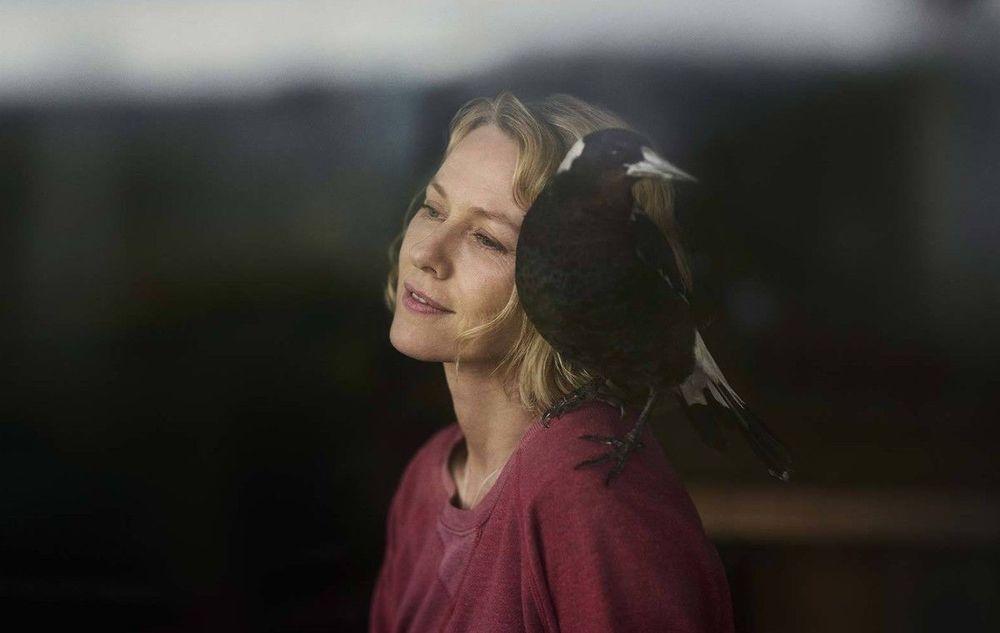 Penguin Bloom, le film le plus réconfortant de l'année qui débarque bientôt sur Netlfix | So Busy Girls