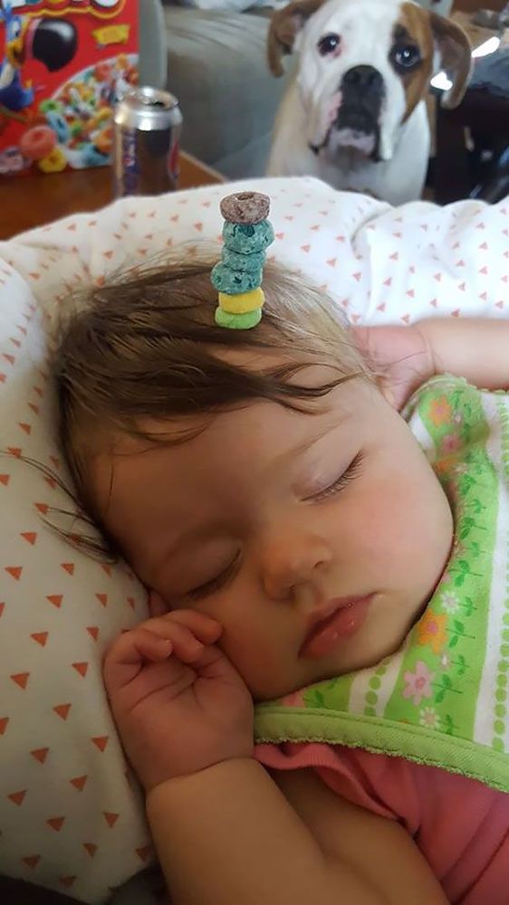 Non, ce n'est pas une blague : des papas tentent de battre le record de céréales Cheerios empilées sur le nez de leur enfant | So Busy Girls