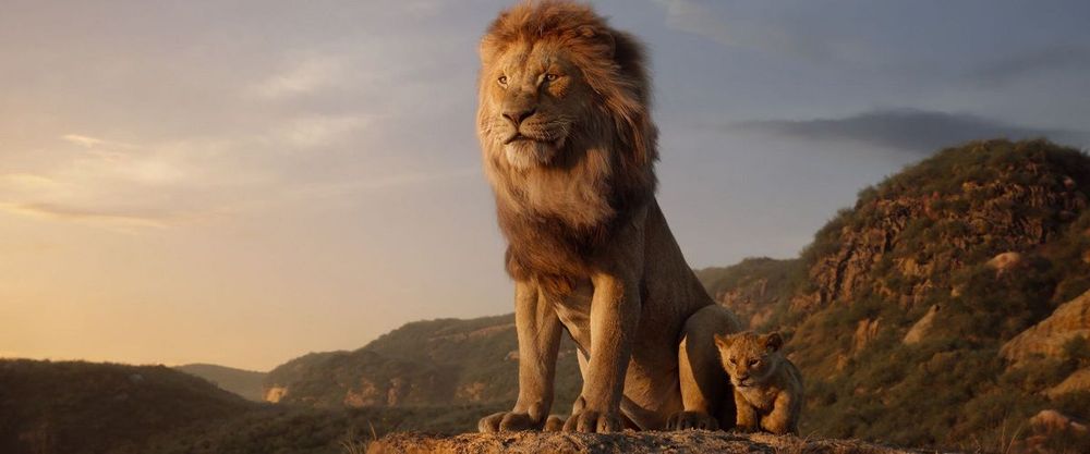 Pourquoi vous devez absolument aller voir le film Le Roi Lion au ciné | So Busy Girls