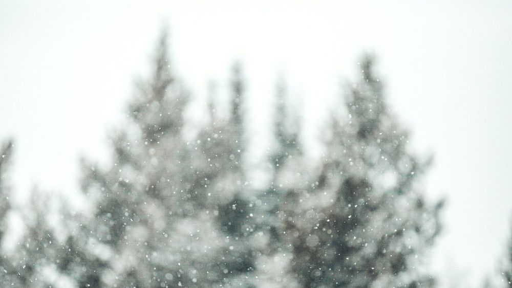 Cette nuit irréelle où la neige a été traversée par des éclairs dans le Pas-de-Calais | So Busy Girls